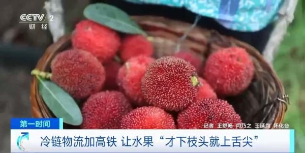 龙辉优配 半天送达周边城市 “冷链物流+高铁”让水果“才下枝头就上舌尖”