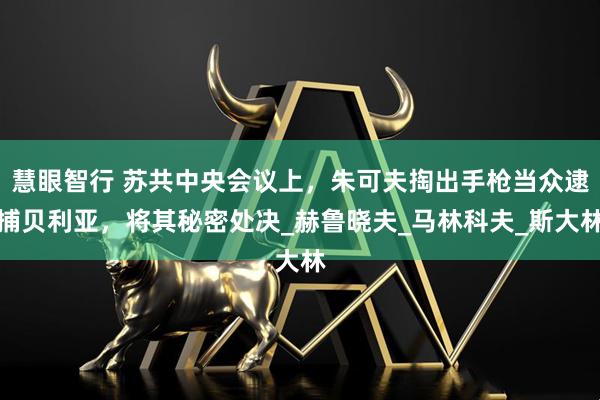 慧眼智行 苏共中央会议上，朱可夫掏出手枪当众逮捕贝利亚，将其秘密处决_赫鲁晓夫_马林科夫_斯大林