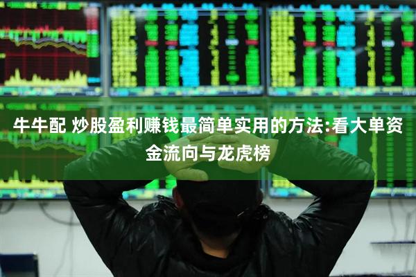 牛牛配 炒股盈利赚钱最简单实用的方法:看大单资金流向与龙虎榜