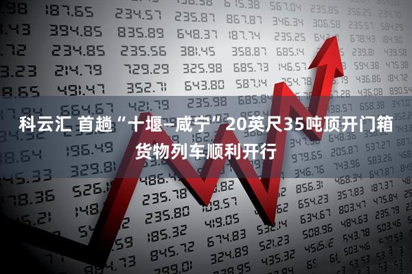 科云汇 首趟“十堰—咸宁”20英尺35吨顶开门箱货物列车顺利开行